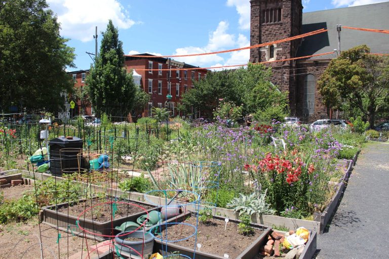 Community garden in Philly