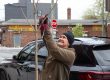 A volunteer prunes a street tree in Philadelphia.