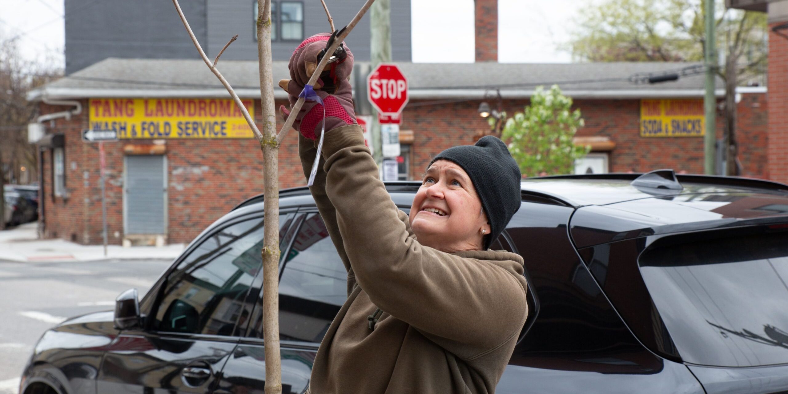A volunteer prunes a street tree in Philadelphia.