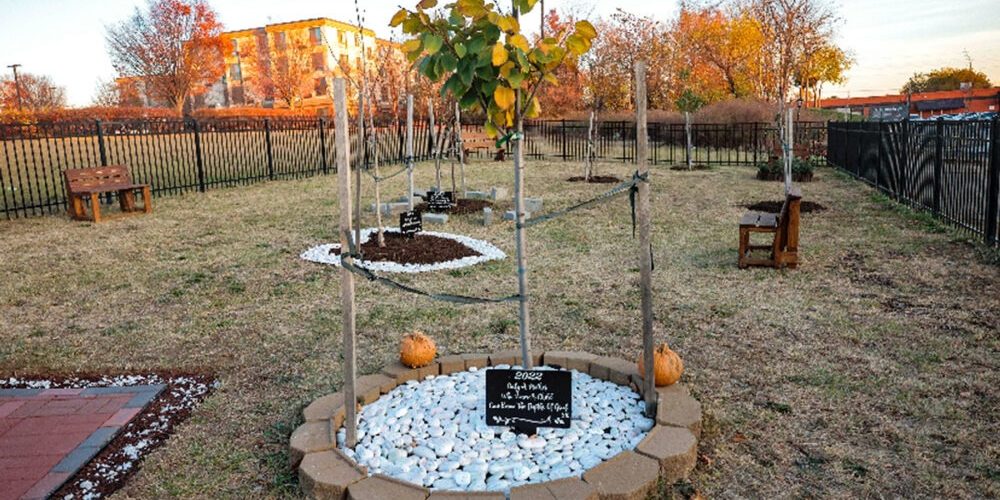 The Botanical Garden of Healing at 51st and Woodland created by Moms Bonded by Grief