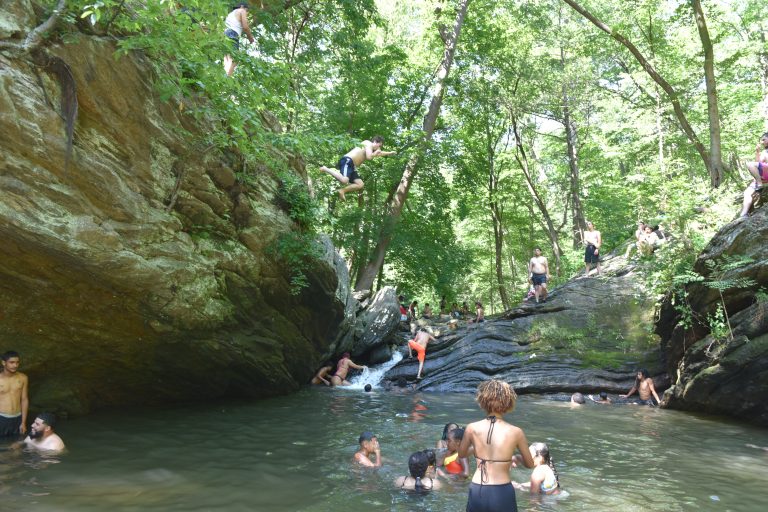 A man dives into “Devil’s Pool” at the confluence of the Cresheim and Wissahickon Creeks in June 2025.